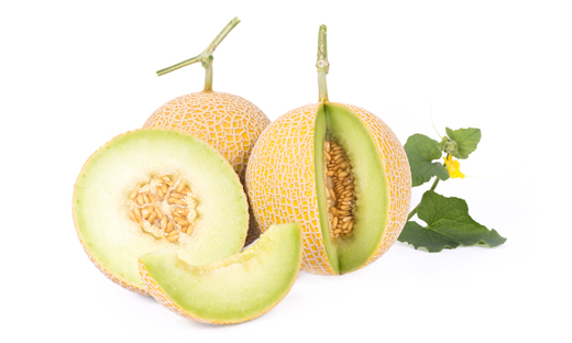 RZVN190828_009_Inthanon RZ musk melon